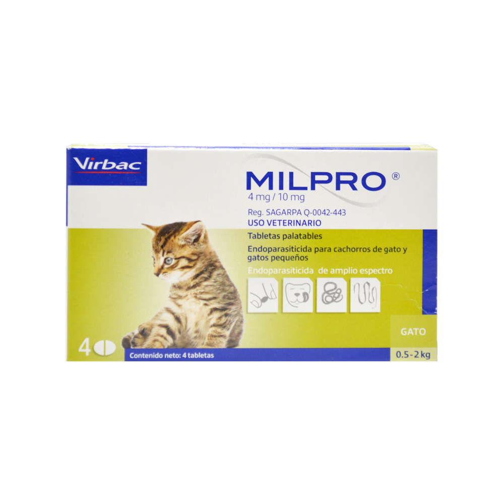 MILPRO KITTEN 4 MG/10 MG X 4TAB