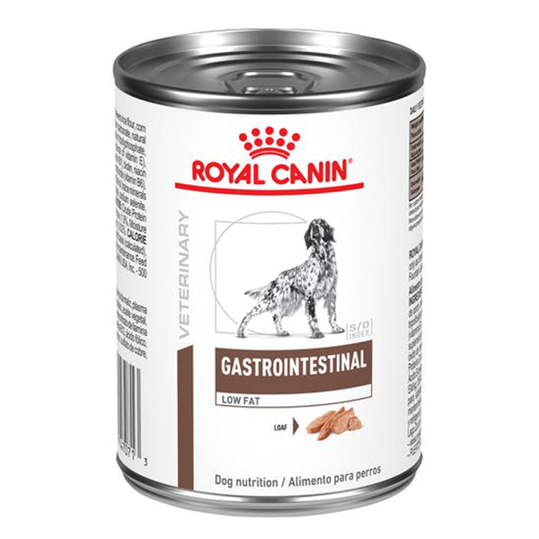ROYAL CANIN GI HE DOG WET 0.382 KG