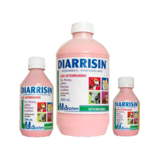 DIARRISIN ORAL X 120 ML