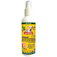 ANTIESTRES CBD X 240 ML