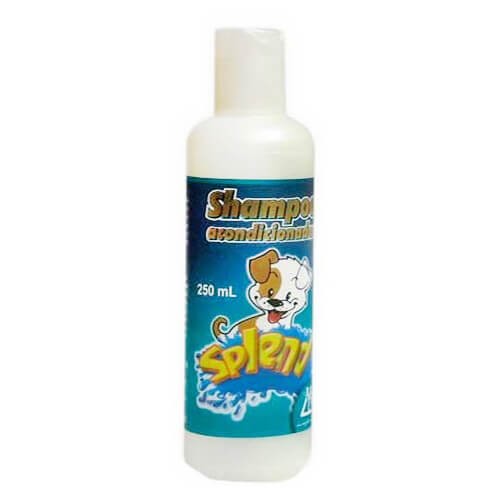 CHAMPU SPLEND ACONDICIONADOR X 250ML