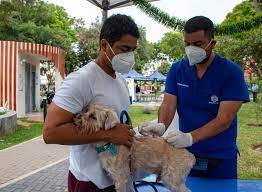 *VACUNA ANUAL EVENTO