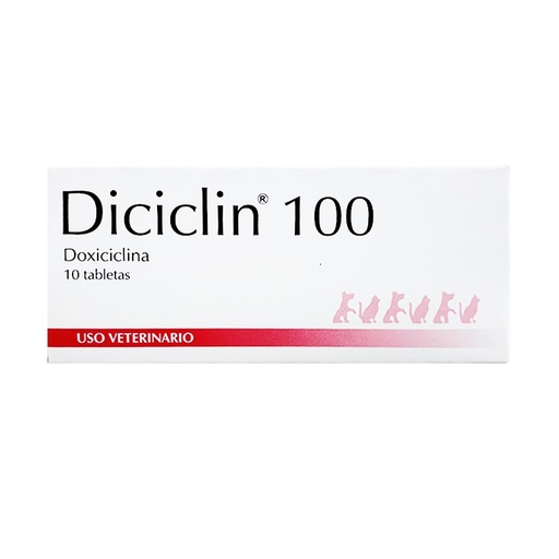 DICICLIN POLVO PARA RECONSTRUIR * 50 ML